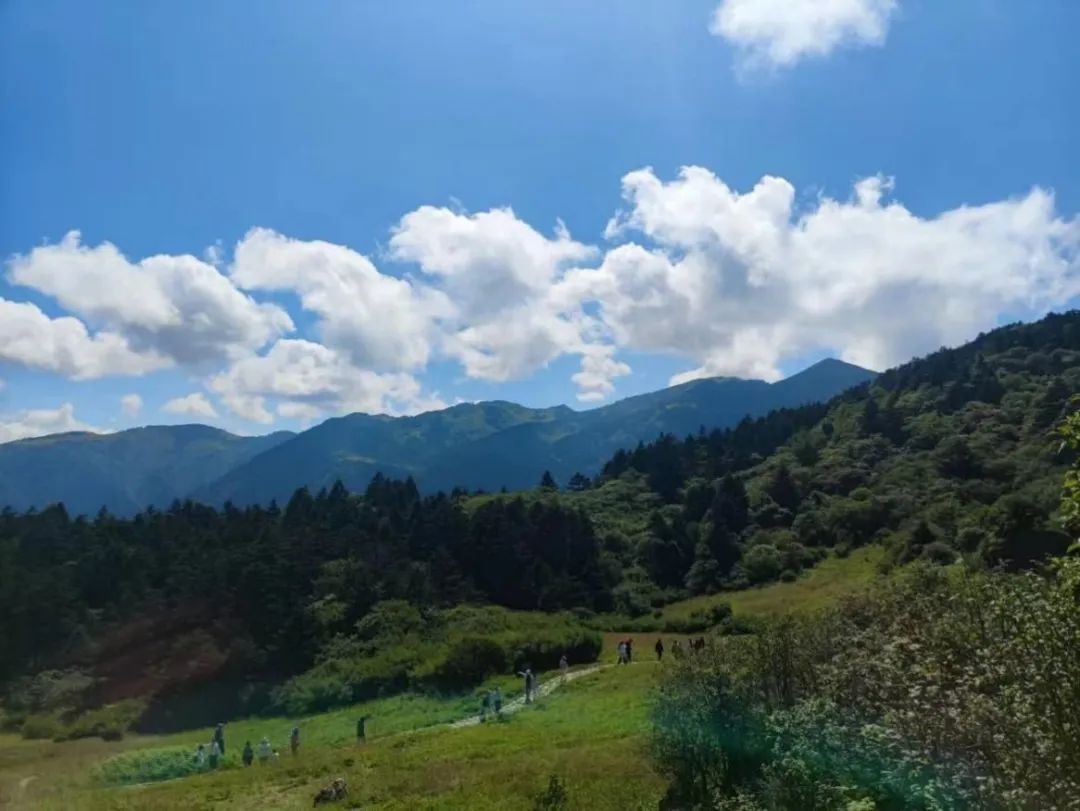 快来投票吧 | 环境学院 第一届"2023相册最佳"活动投票