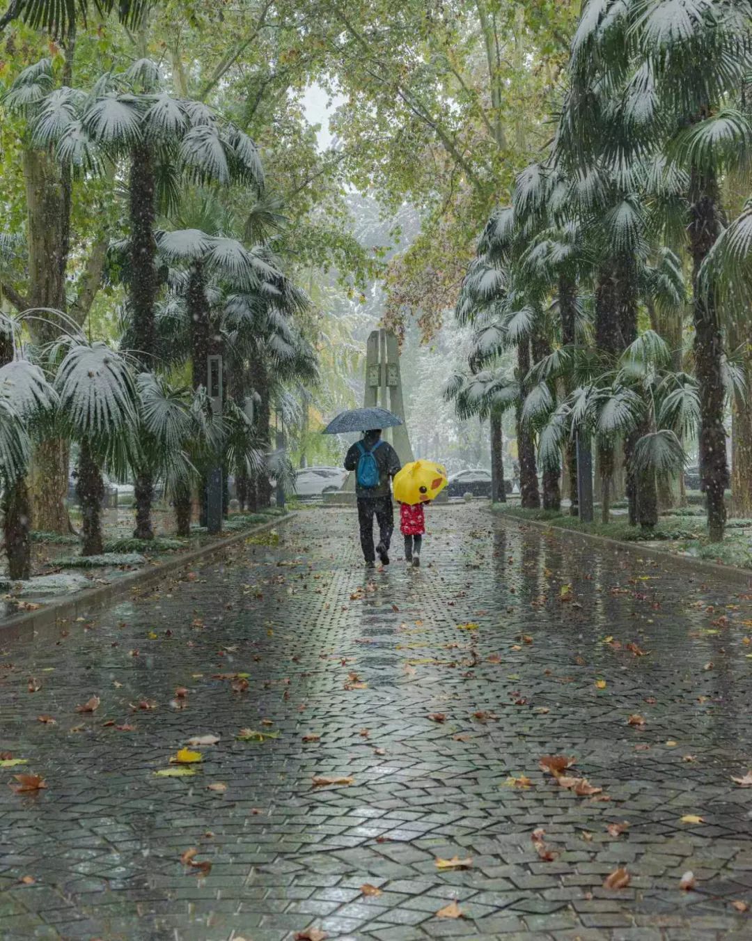 快来投票吧 | 环境学院 第一届"2023相册最佳"活动投票